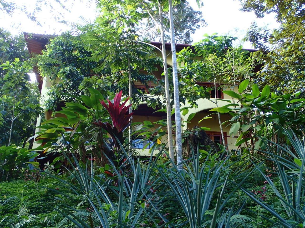 Morrillo Beach Eco Resort Buitenkant foto